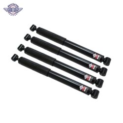 10075323 Shock Absorber Set